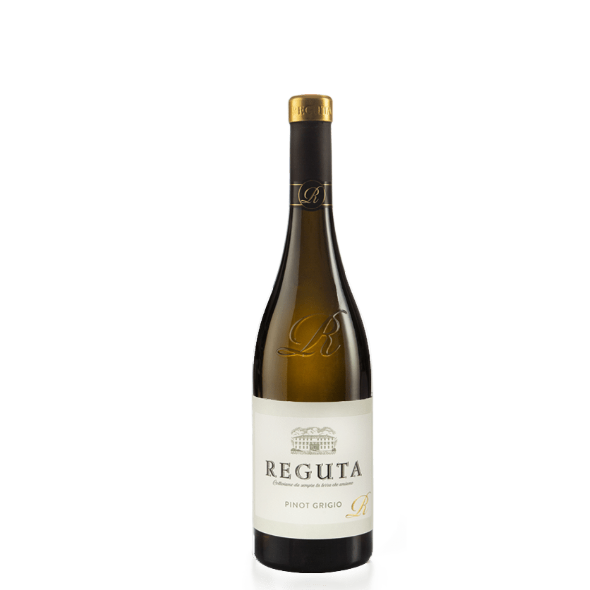 PINOT GRIGIO REGUTA
