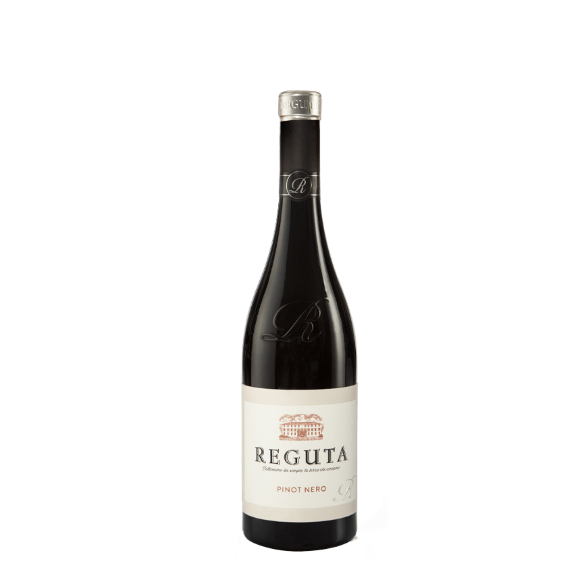 REGUTA PINOT NERO