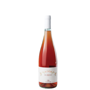 GUERRIERI ROSA DEI VENTI