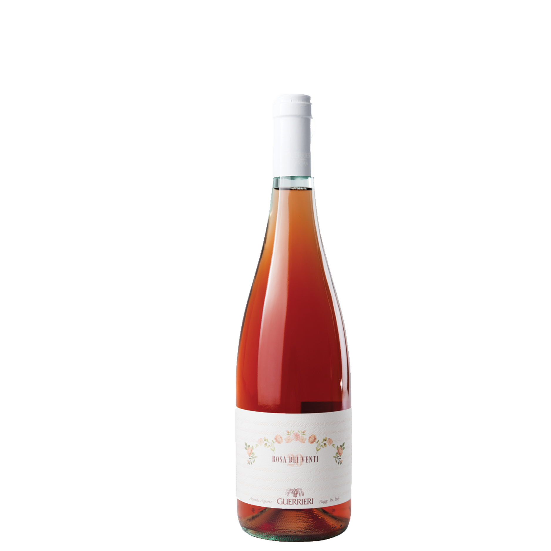 GUERRIERI ROSA DEI VENTI
